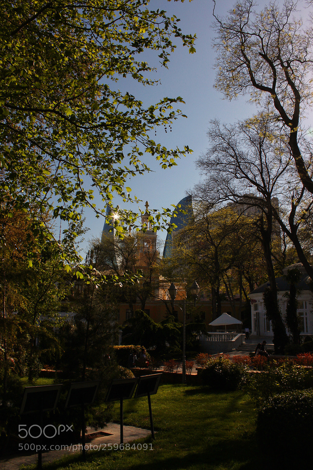 Canon EOS 650D (EOS Rebel T4i / EOS Kiss X6i) sample photo. X photography