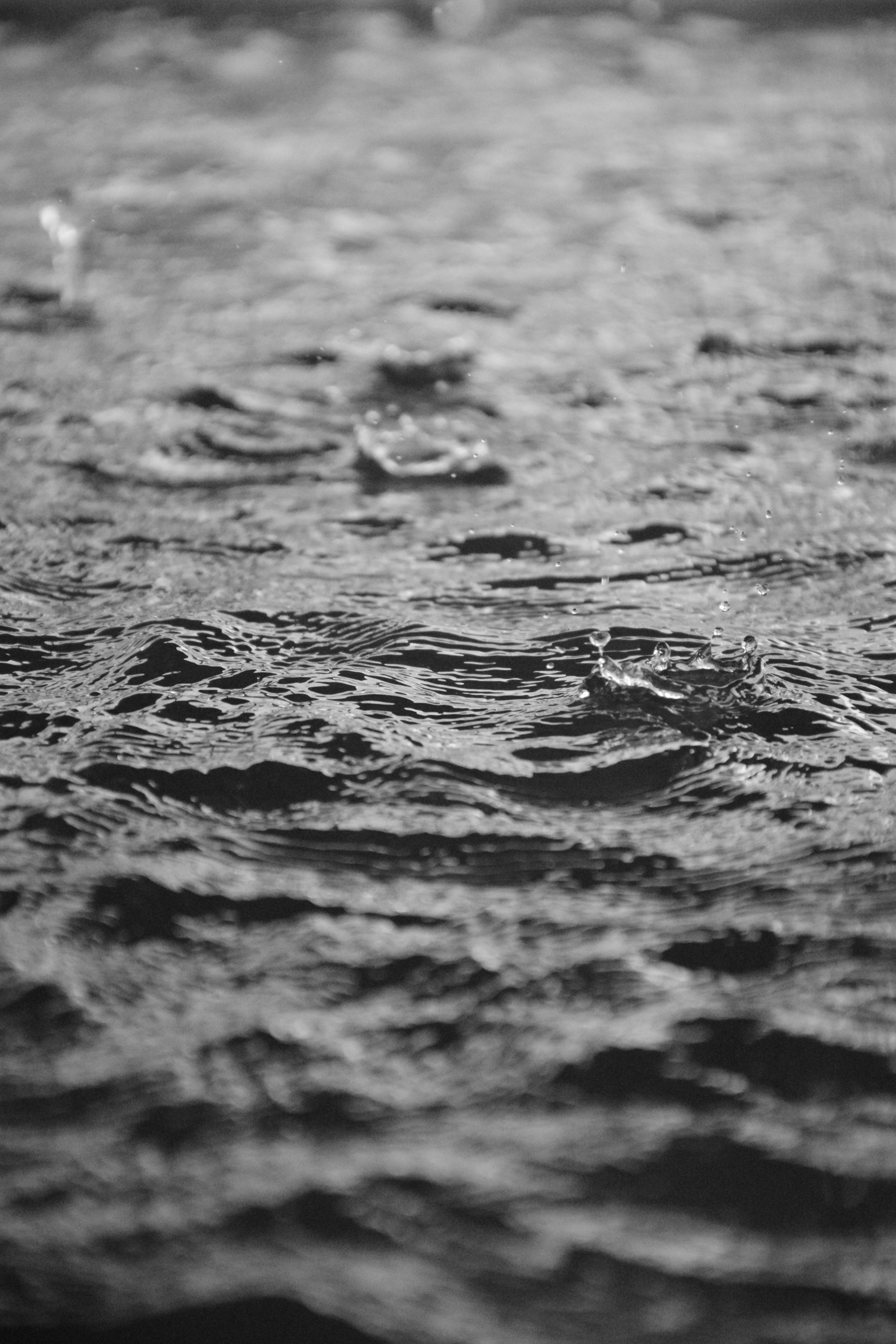 Nikon D5300 sample photo. Drizzle photography