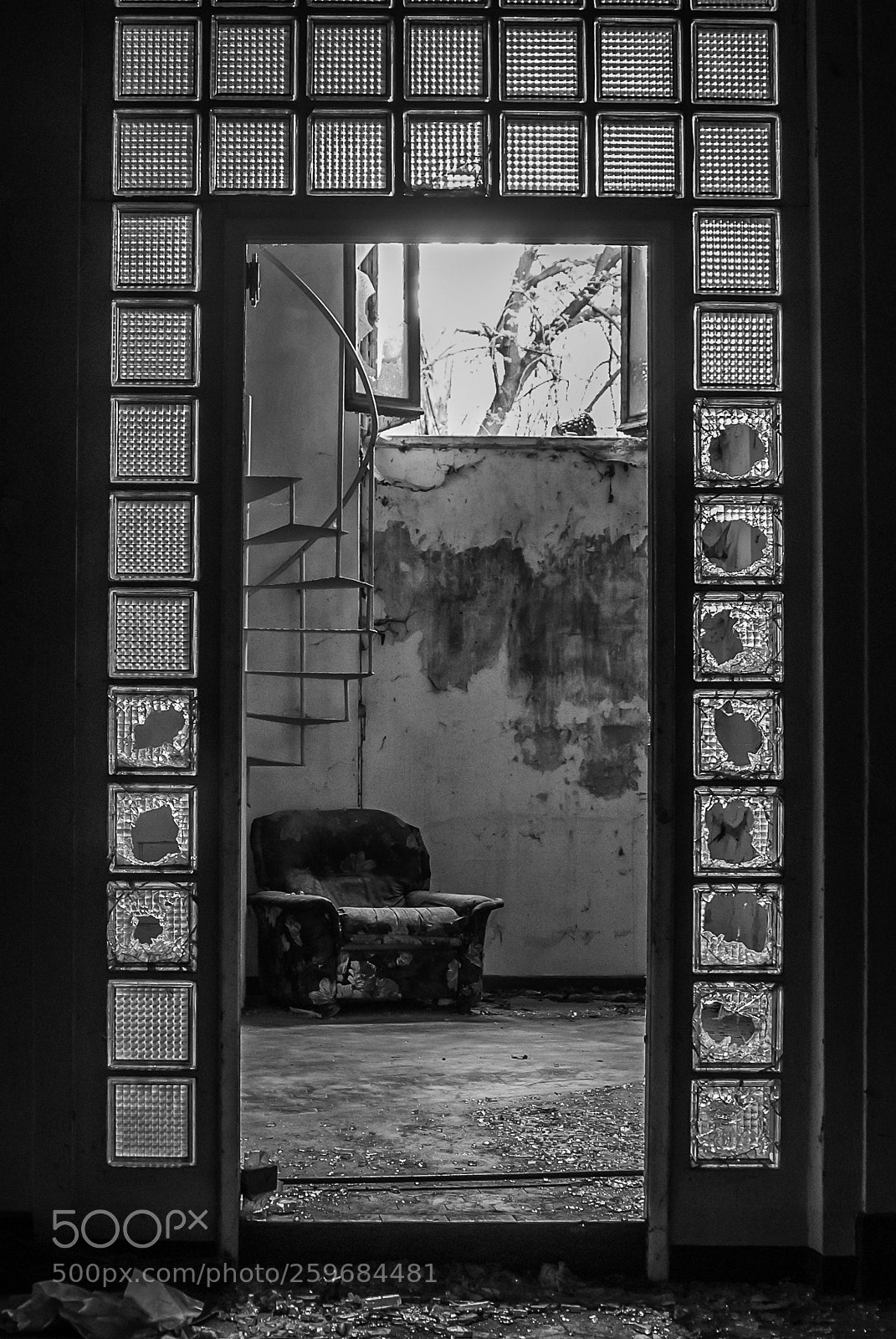 Nikon D3000 sample photo. Untitled photography