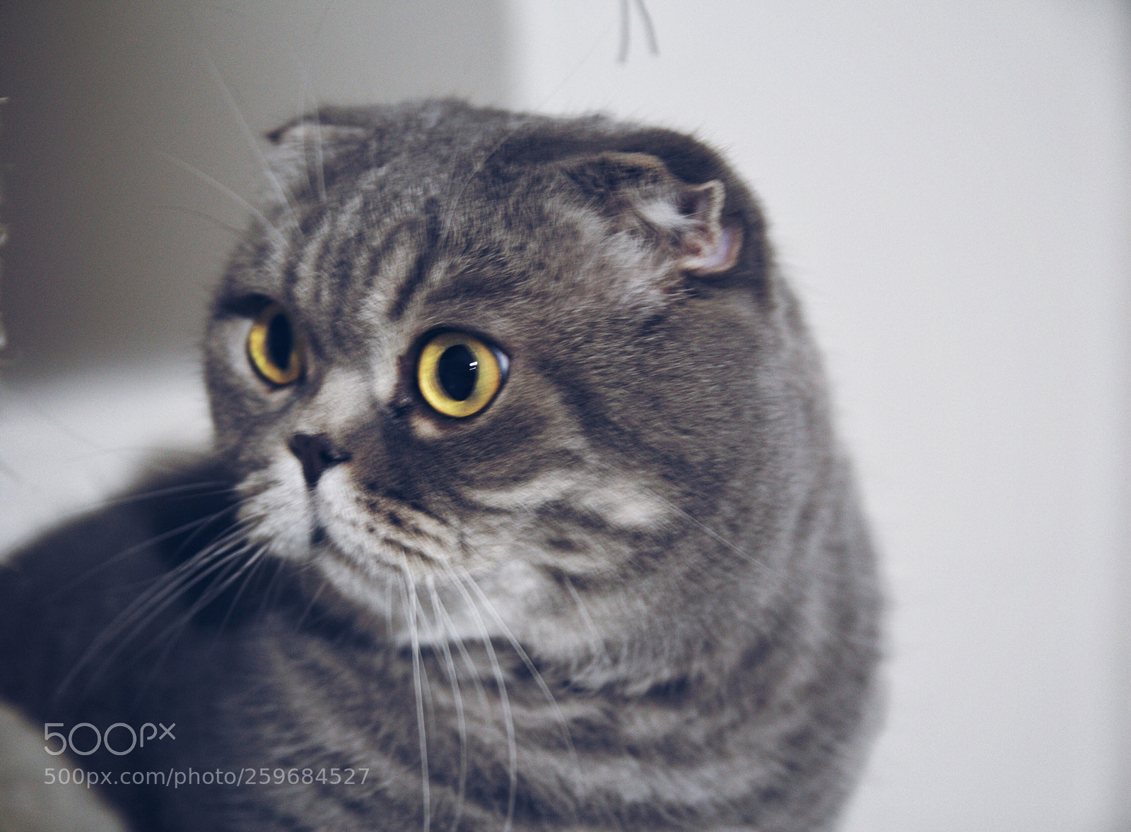 Canon EOS 700D (EOS Rebel T5i / EOS Kiss X7i) sample photo. Untitled photography