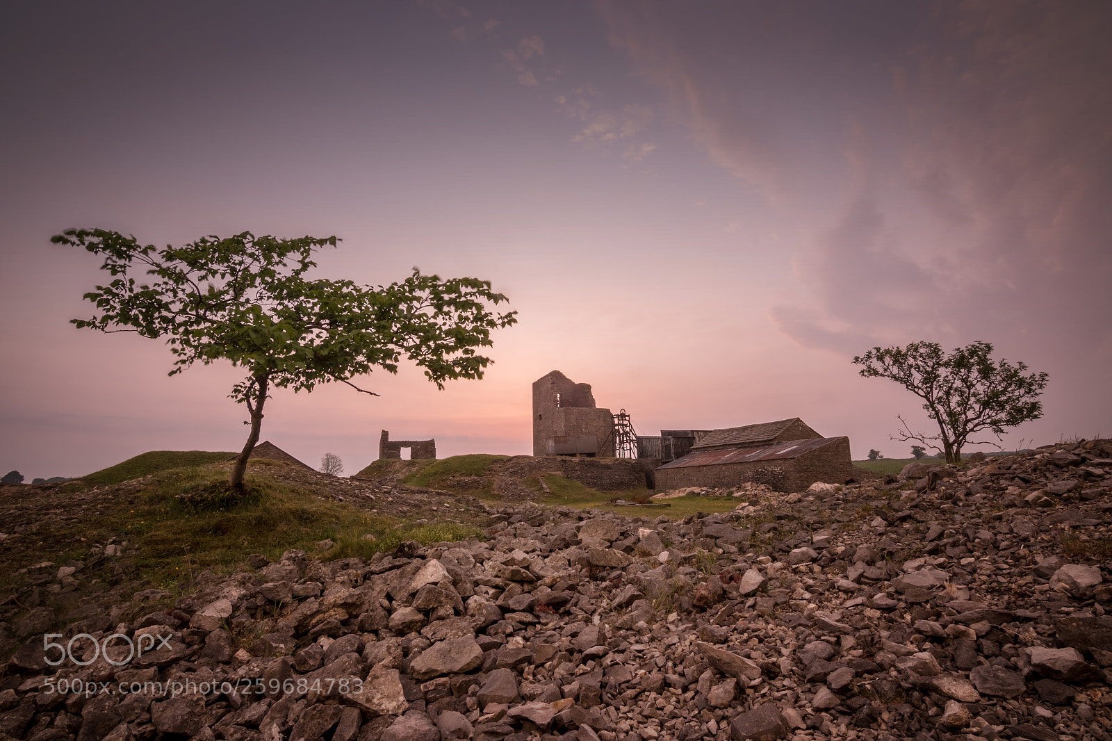 Canon EOS 7D Mark II sample photo. Trees amongst the mine photography