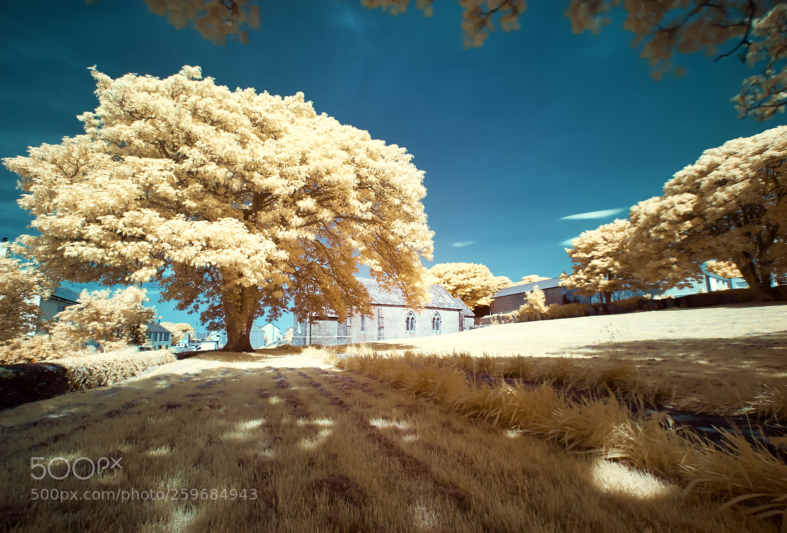 Nikon D200 sample photo. Flimby church infared 590nm photography