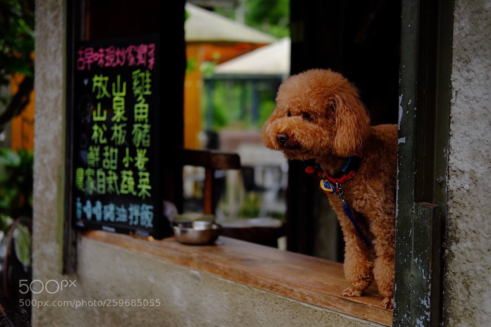 Fujifilm X-T1 sample photo. Bdce b c aca photography