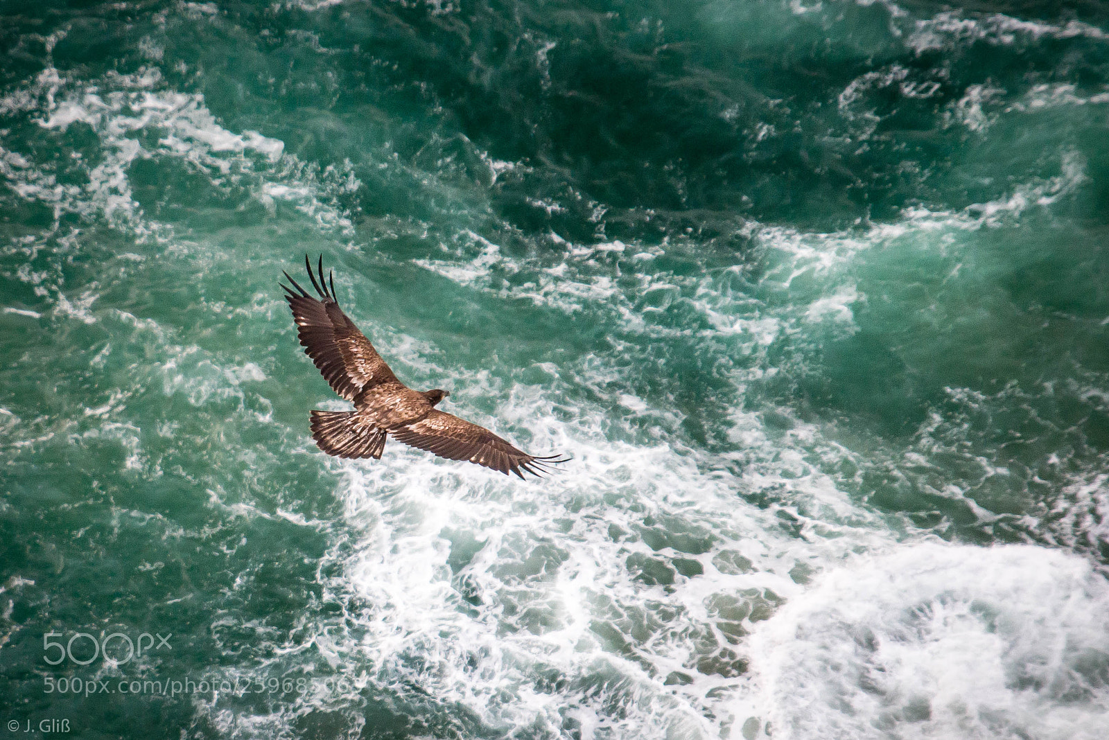 Nikon D610 sample photo. - forces of nature - photography