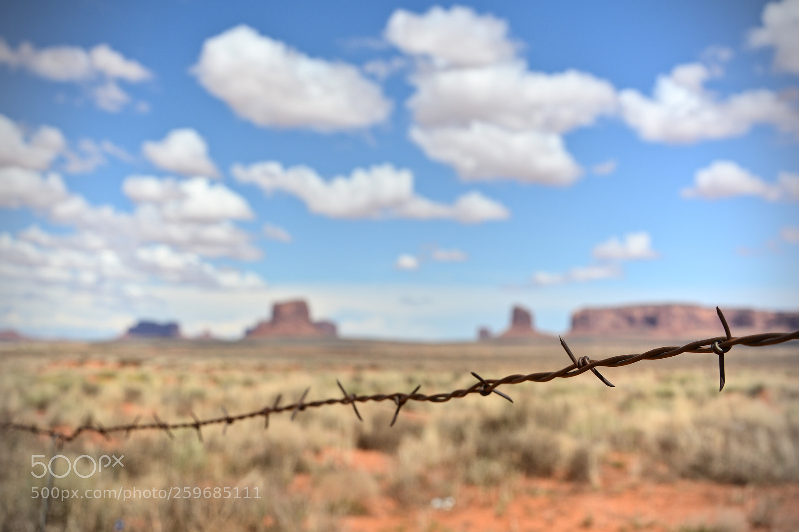 Nikon D5200 sample photo. Behind barbwire photography