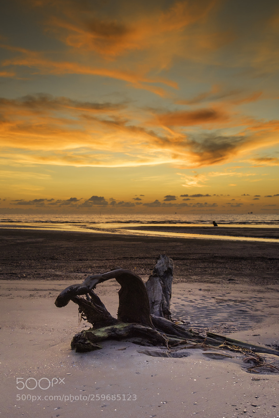 Nikon D750 sample photo. Twilight over lutong beach photography