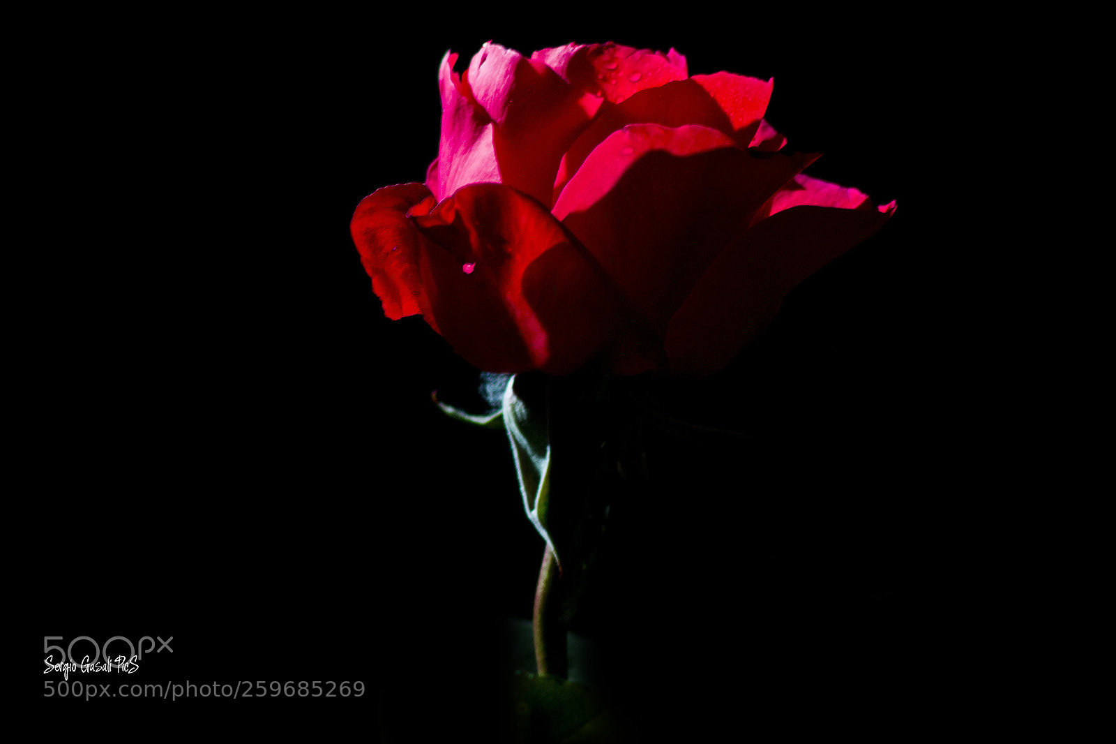 Canon EOS 70D sample photo. Pink dancer photography