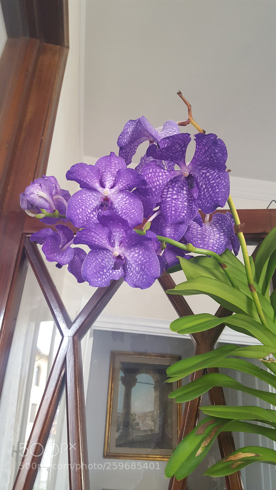 Samsung Galaxy S6 sample photo. Untitled photography