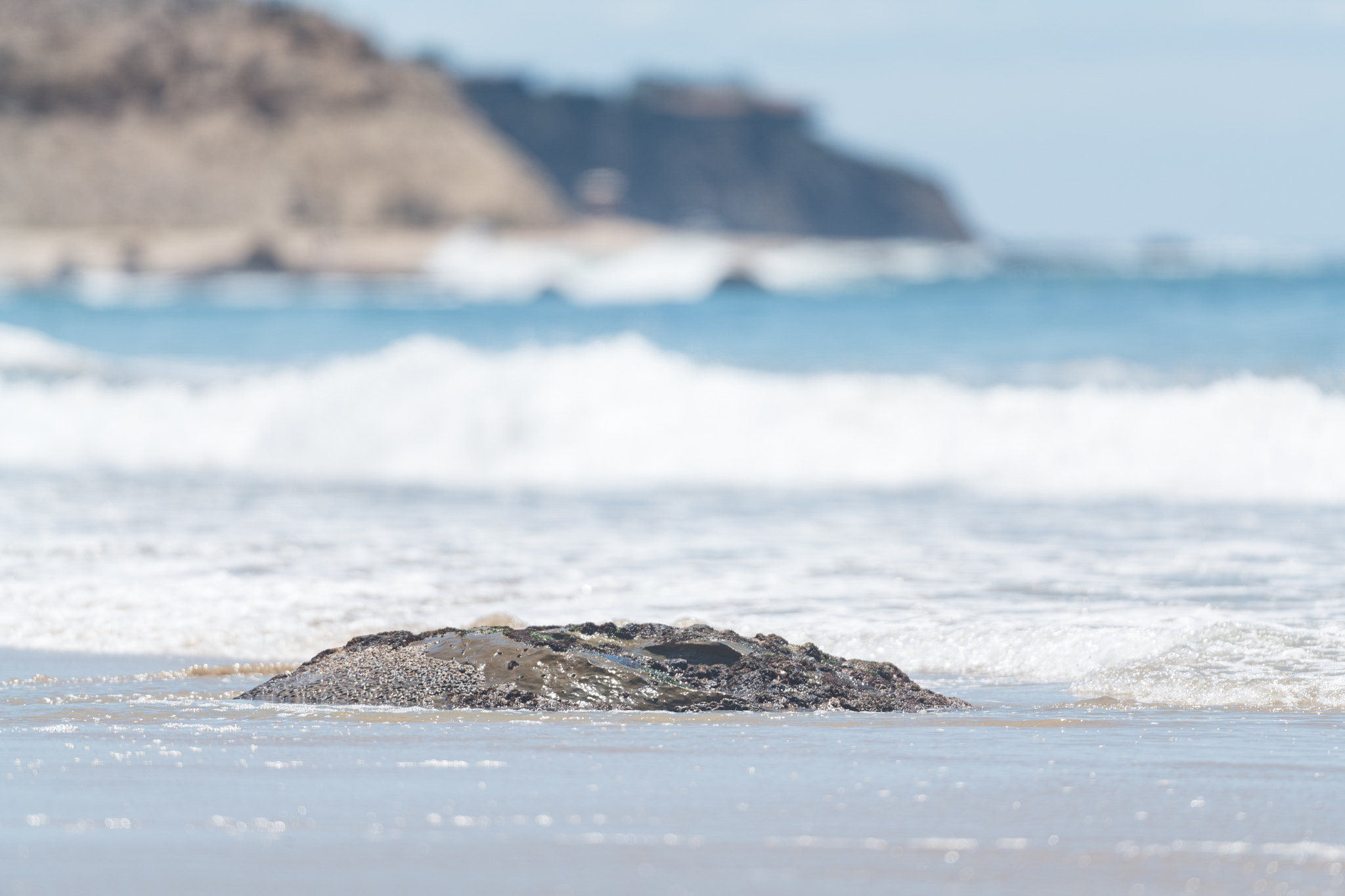 Leica SL (Typ 601) sample photo. Beautiful sunny day in the beach photography