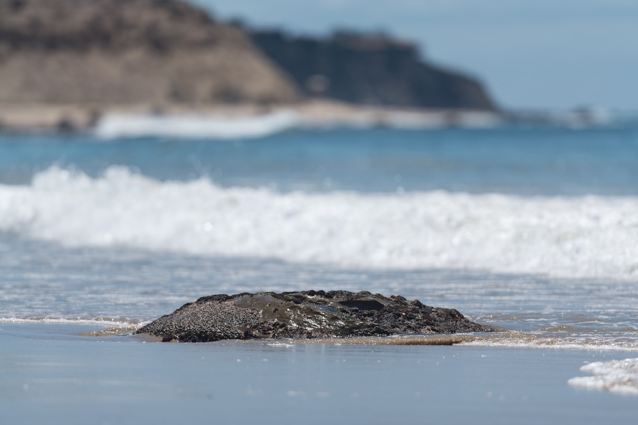 Leica SL (Typ 601) sample photo. Beautiful sunny day in the beach photography