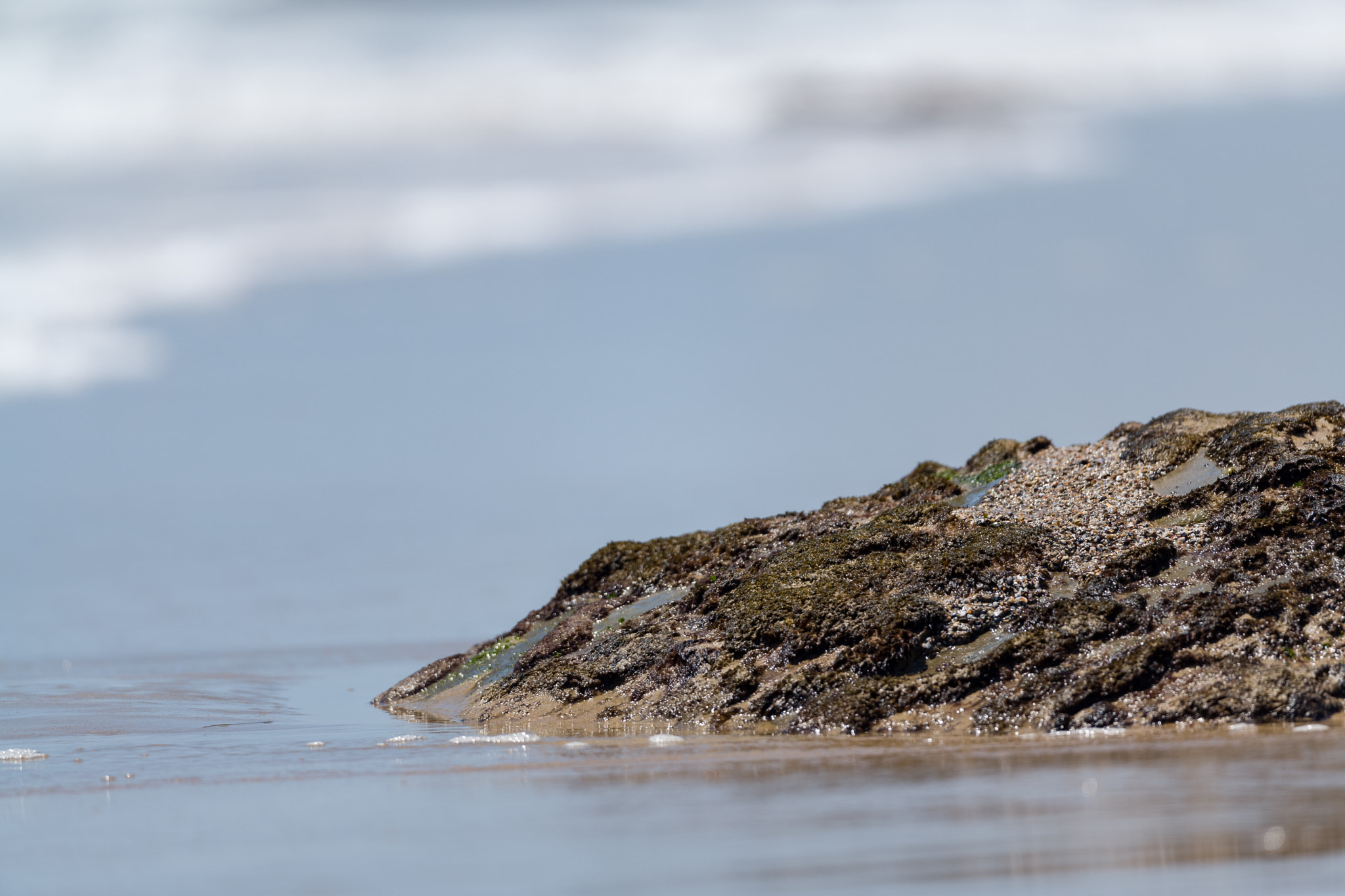 Leica SL (Typ 601) sample photo. Beautiful sunny day in the beach photography