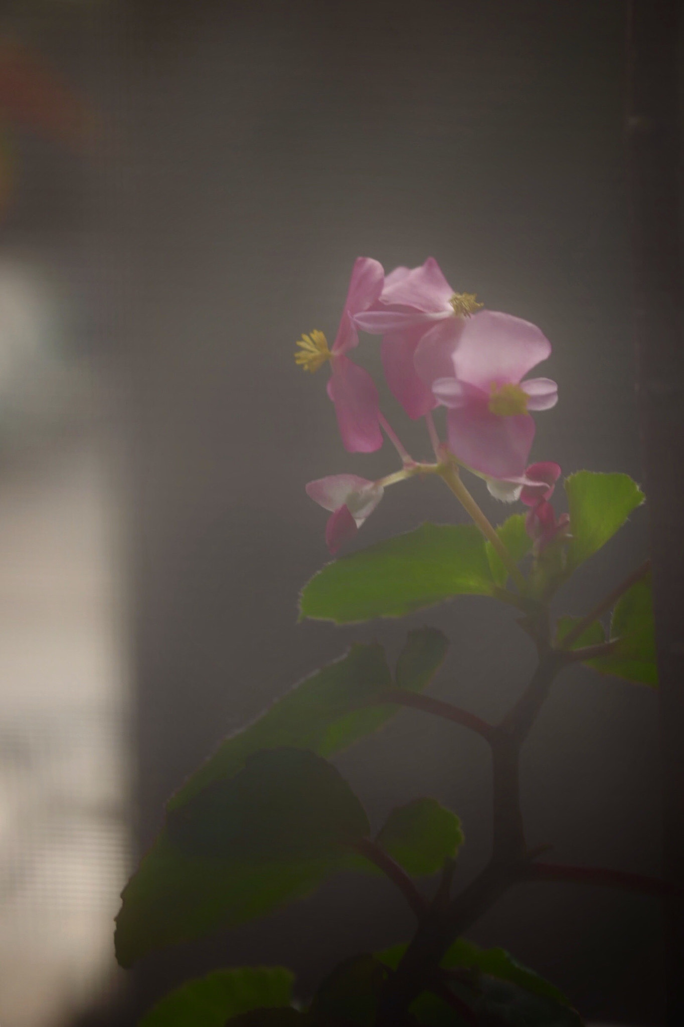 Leica SL (Typ 601) sample photo