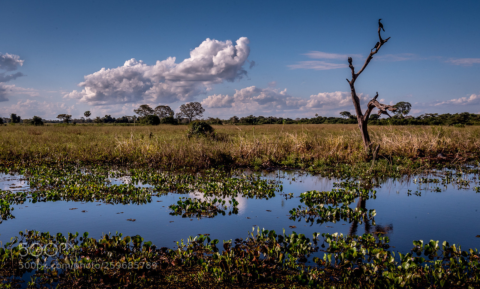 Nikon D750 sample photo. Quiet afternoon  photography