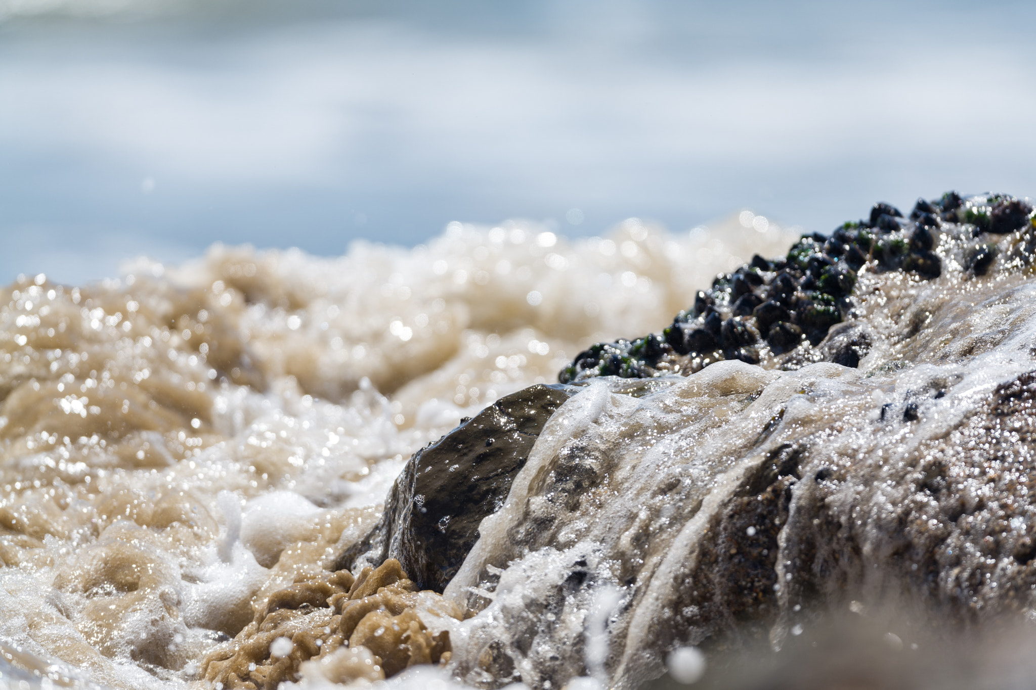 Leica SL (Typ 601) sample photo. Beautiful sunny day in the beach photography