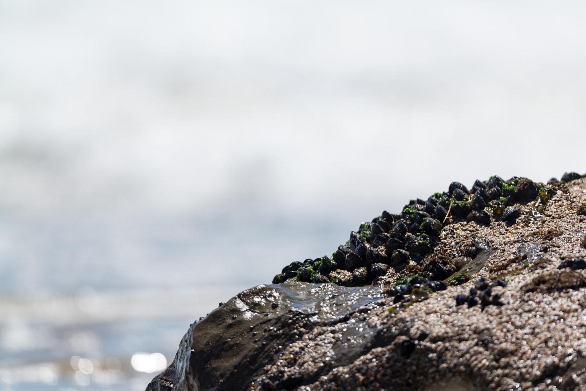 Leica SL (Typ 601) sample photo. Beautiful sunny day in the beach photography