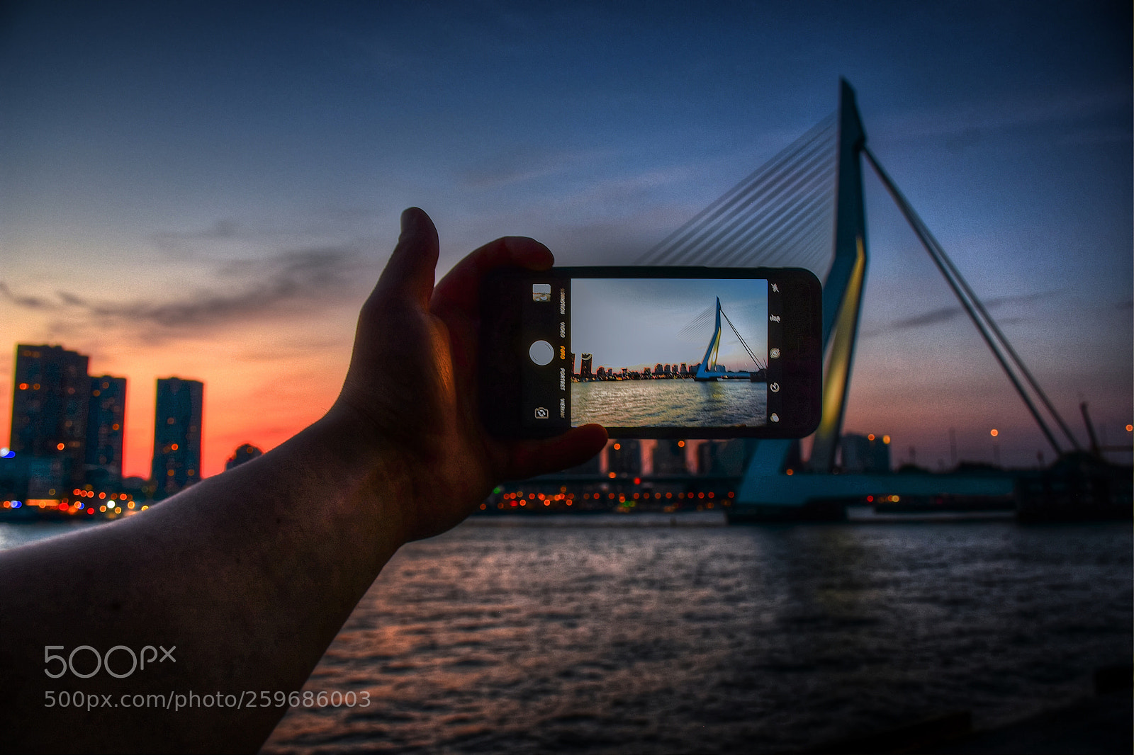 Nikon D7200 sample photo. Erasmus bridge rotterdam selffie photography
