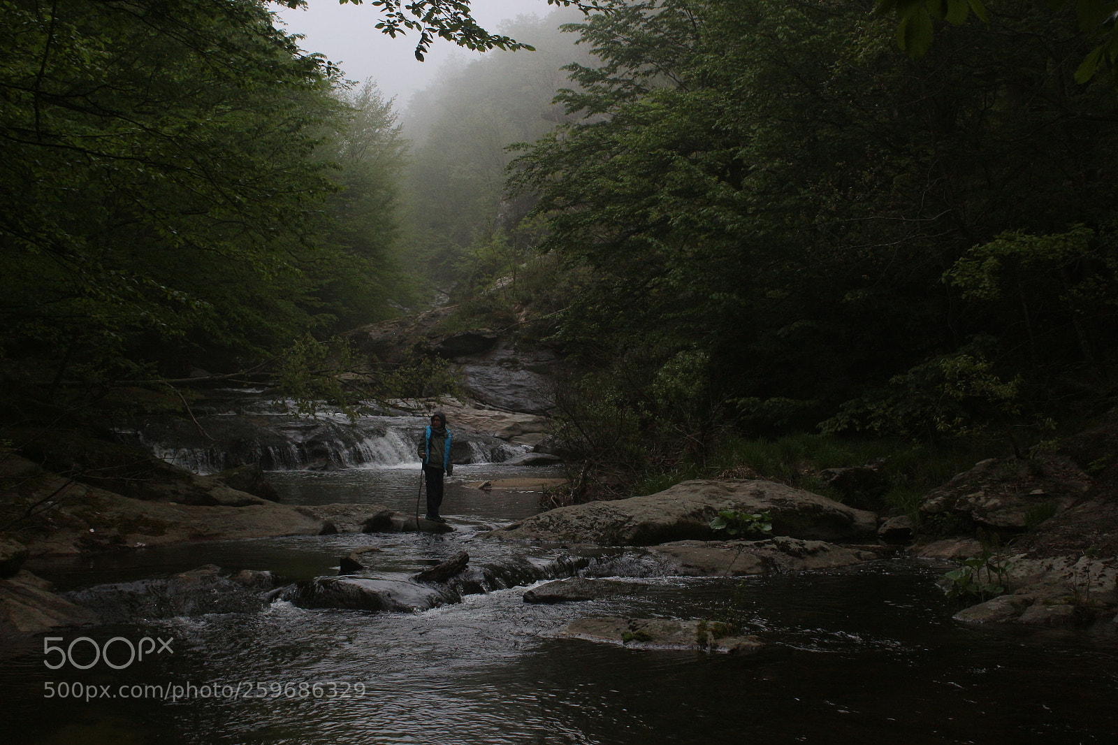 Canon EF-S 18-55mm F3.5-5.6 III sample photo. Misty photography
