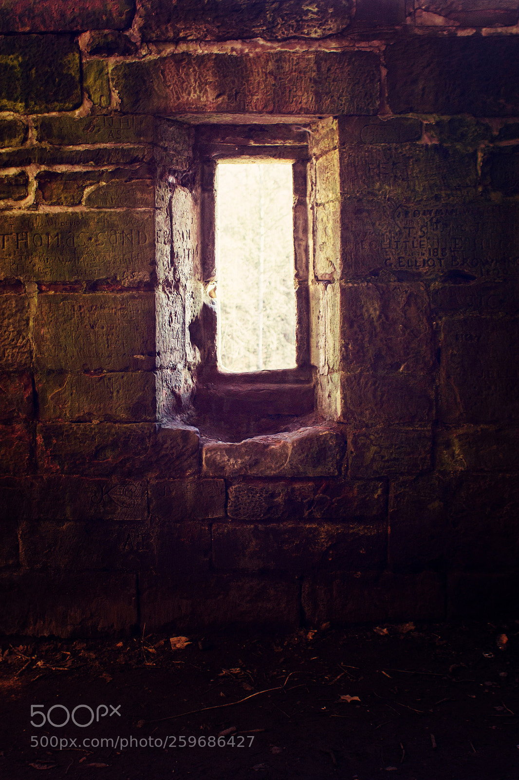 Canon EOS 550D (EOS Rebel T2i / EOS Kiss X4) sample photo. Rapunzel's window photography
