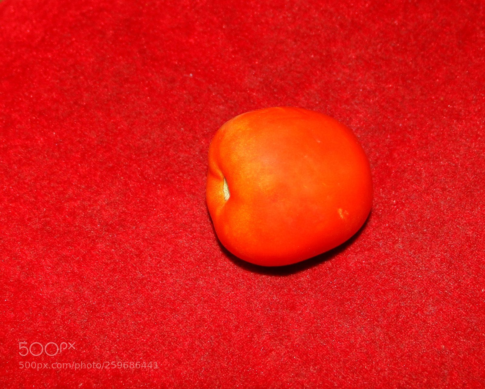 Canon EOS 70D sample photo. Tomato photography