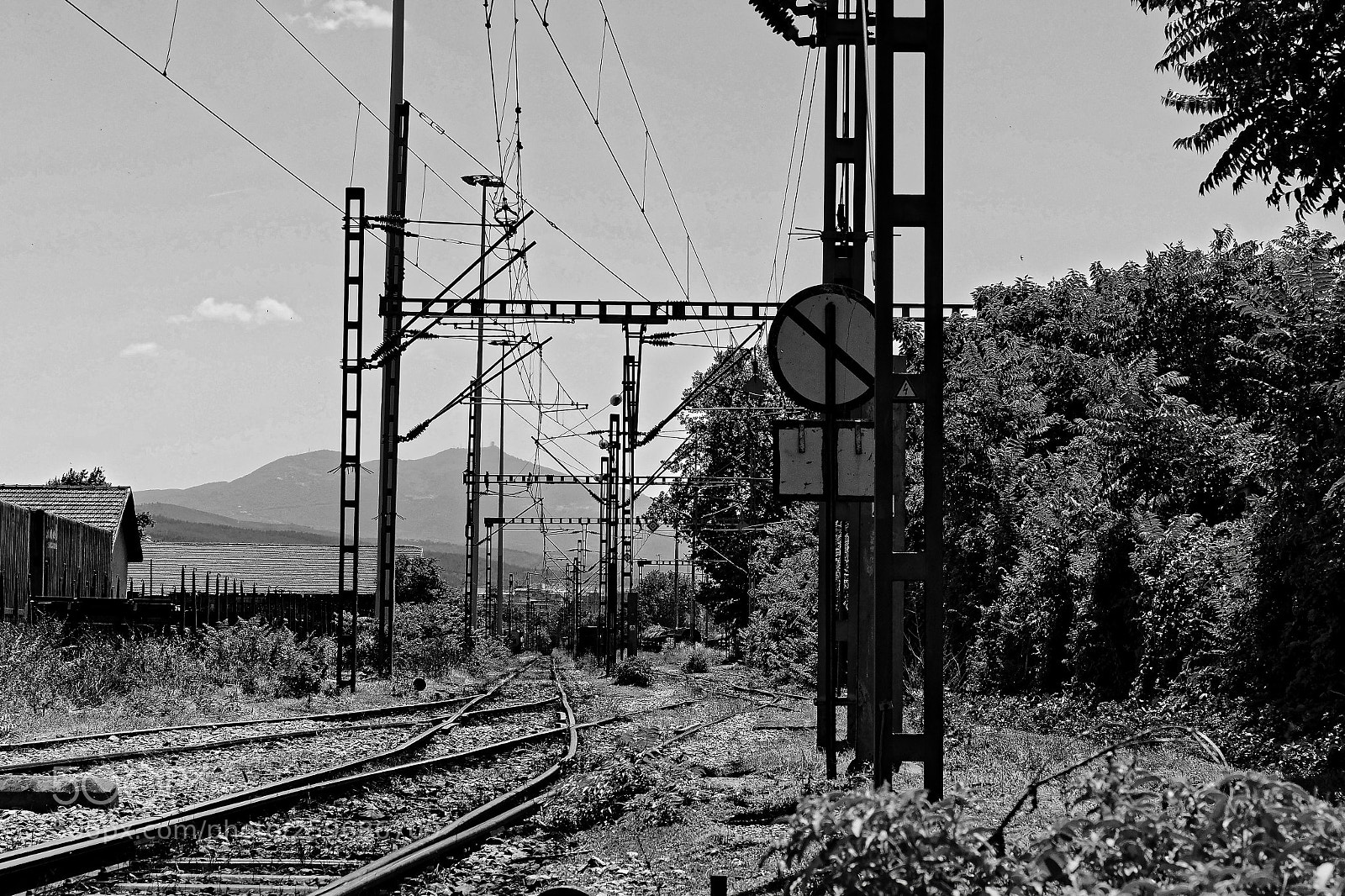 Olympus OM-D E-M1 Mark II sample photo. Olympus digital camera photography