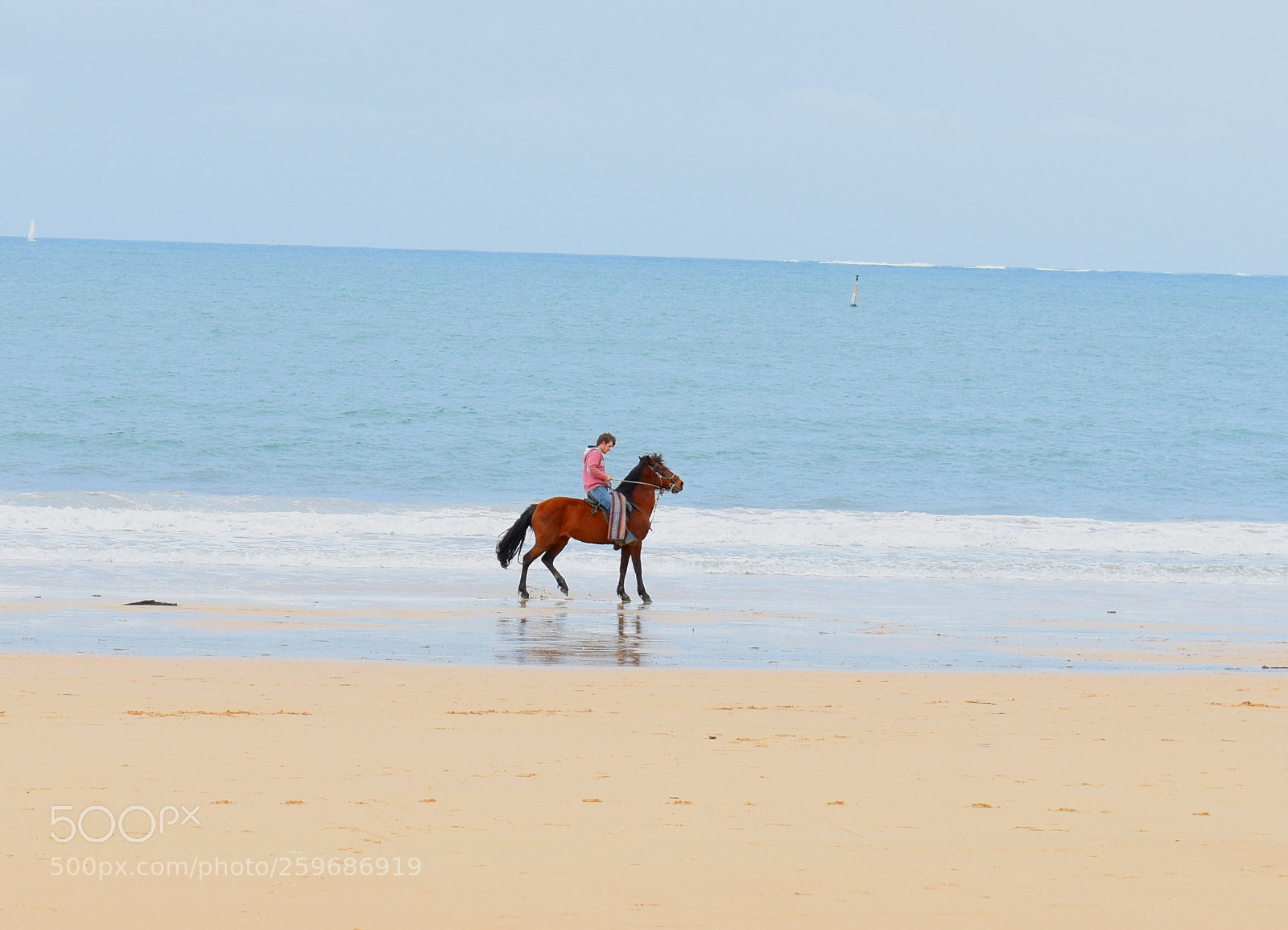 Nikon D3400 sample photo. Horse in the beach photography