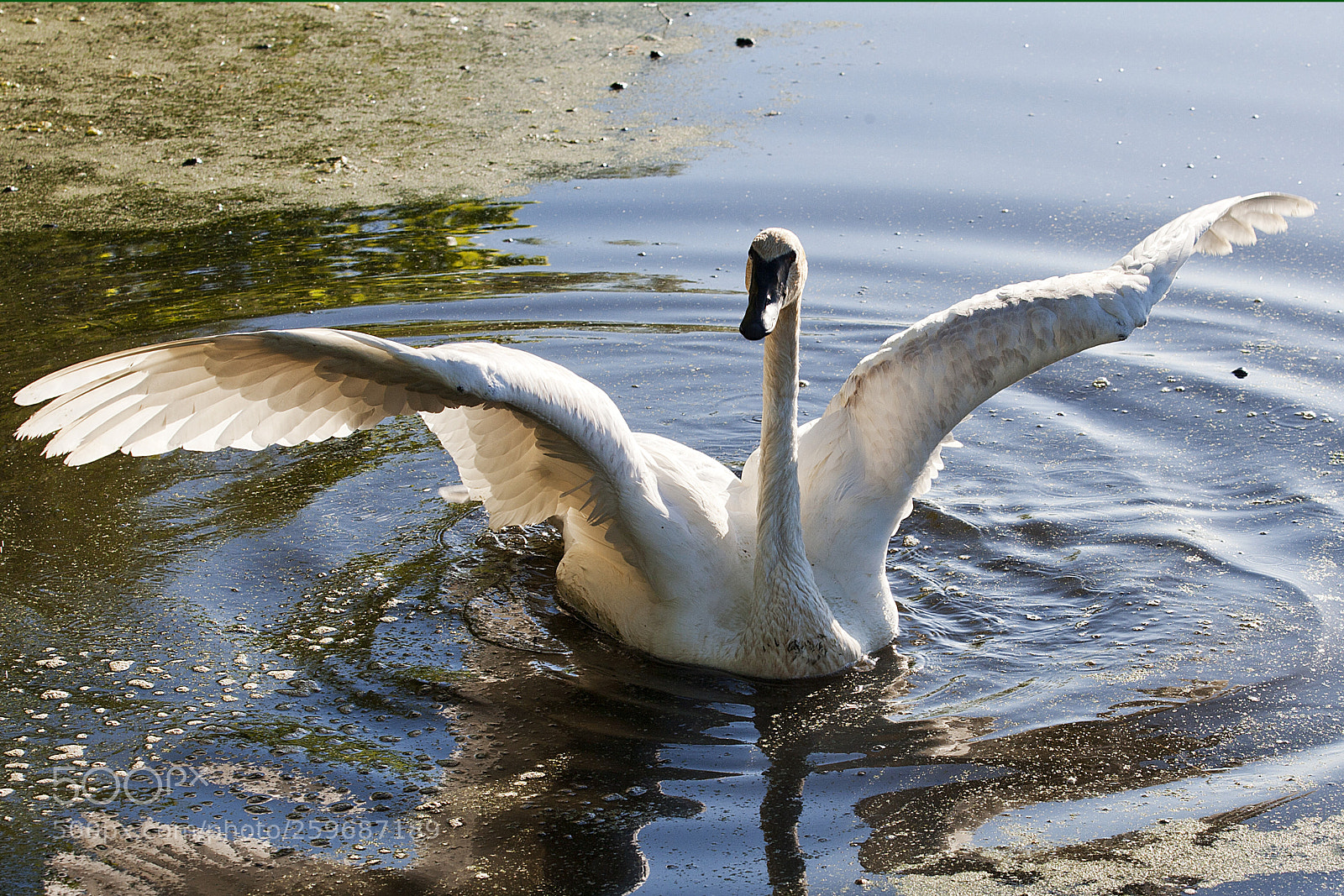 Canon EOS-1Ds Mark II sample photo. La photography