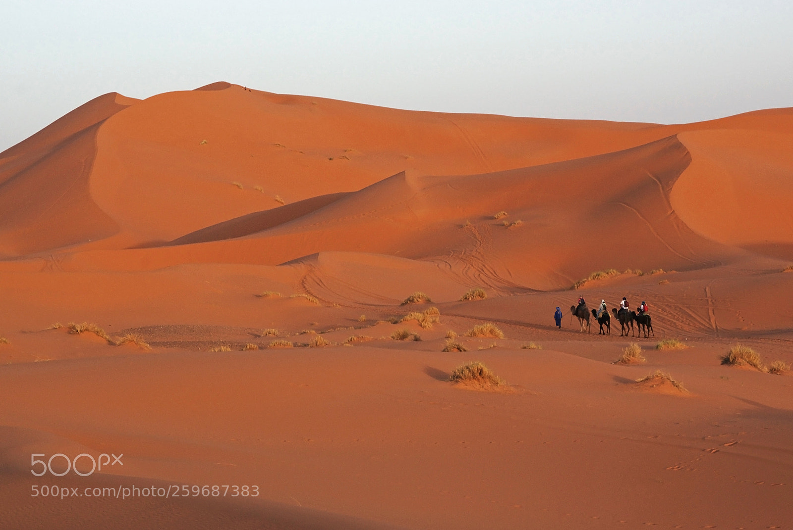 Pentax K200D sample photo. Erg chebbi, morocco photography
