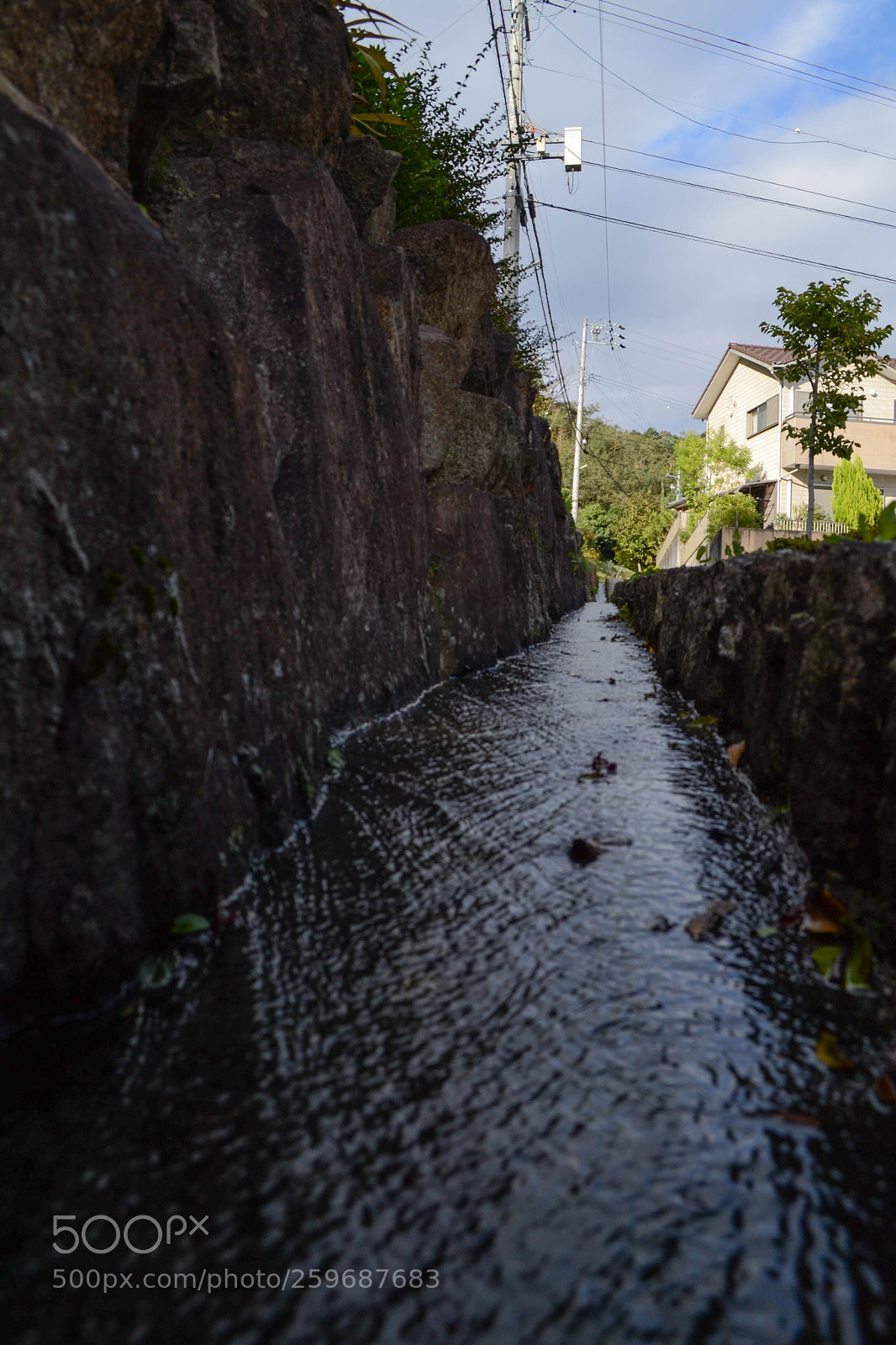 Nikon D3100 sample photo. 23102017-dsc_5018-1.jpg photography