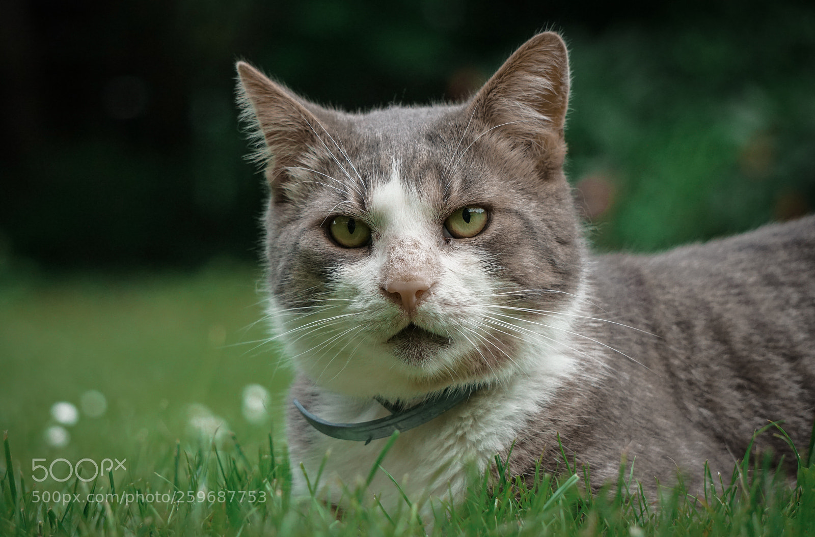 Sony a6000 sample photo. Scotty photography
