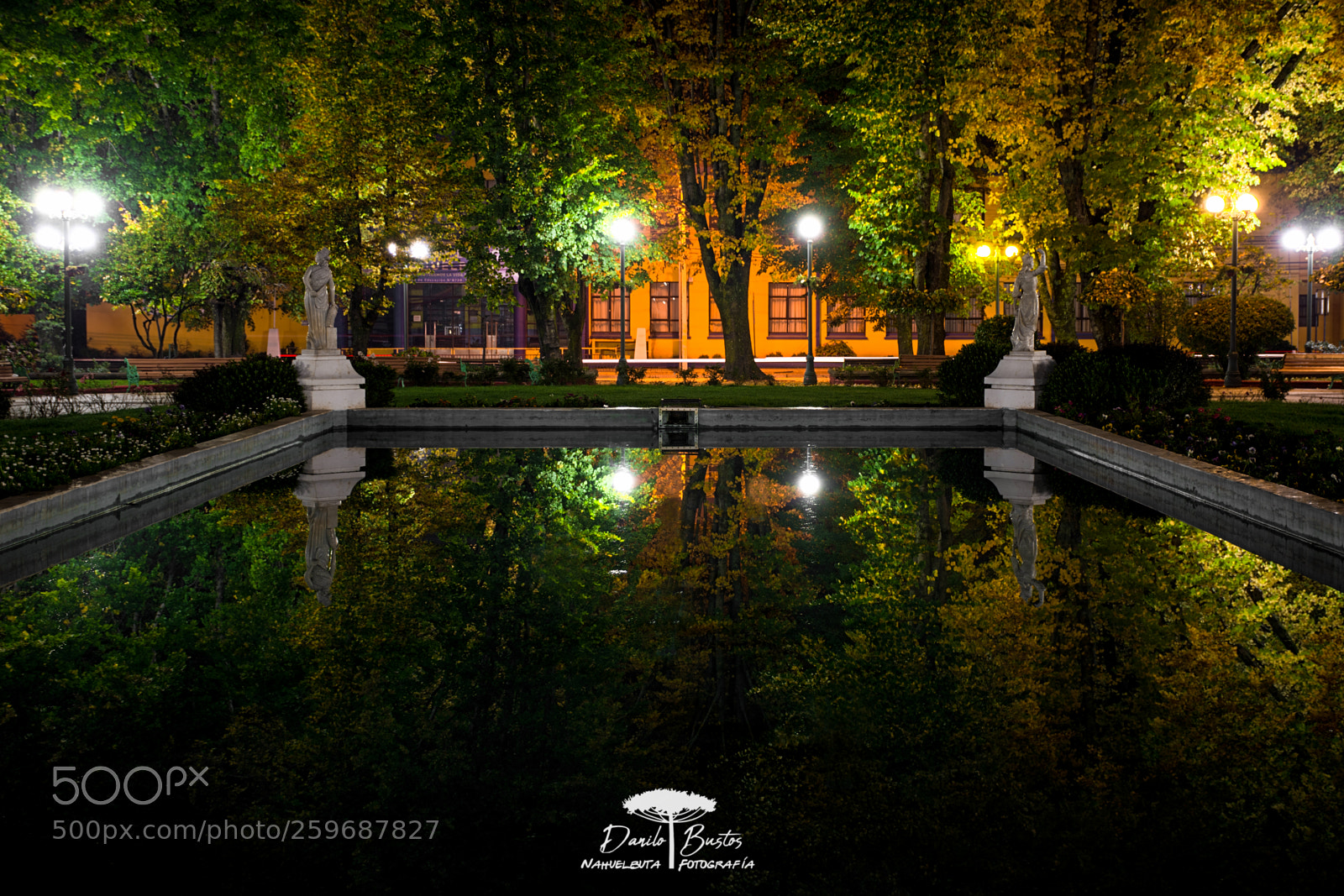 Nikon D7100 sample photo. Reflection of the main photography