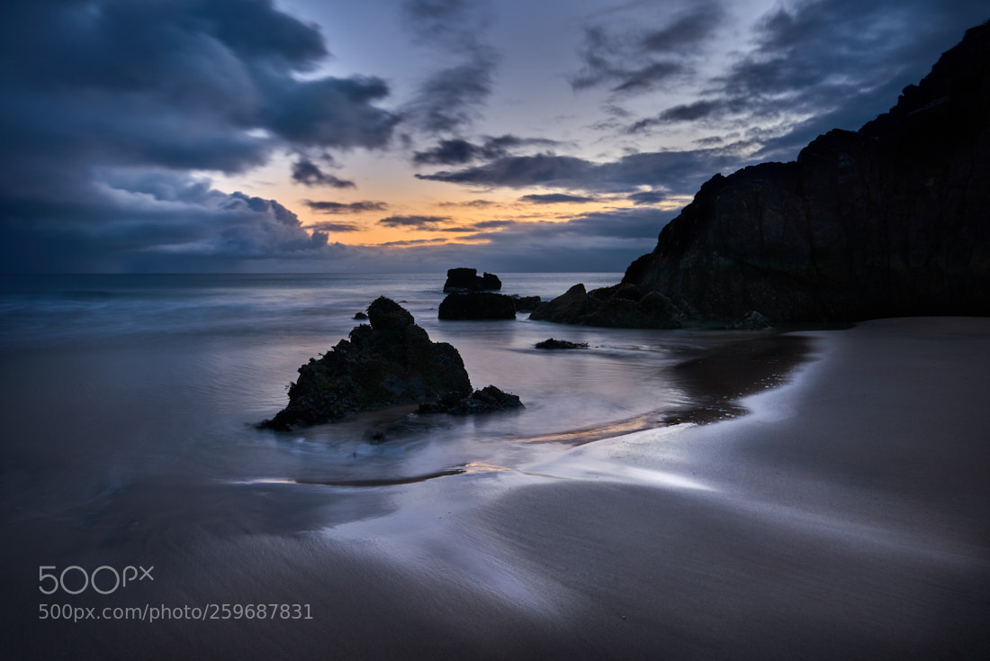 Nikon D810 sample photo. Lewis morning photography