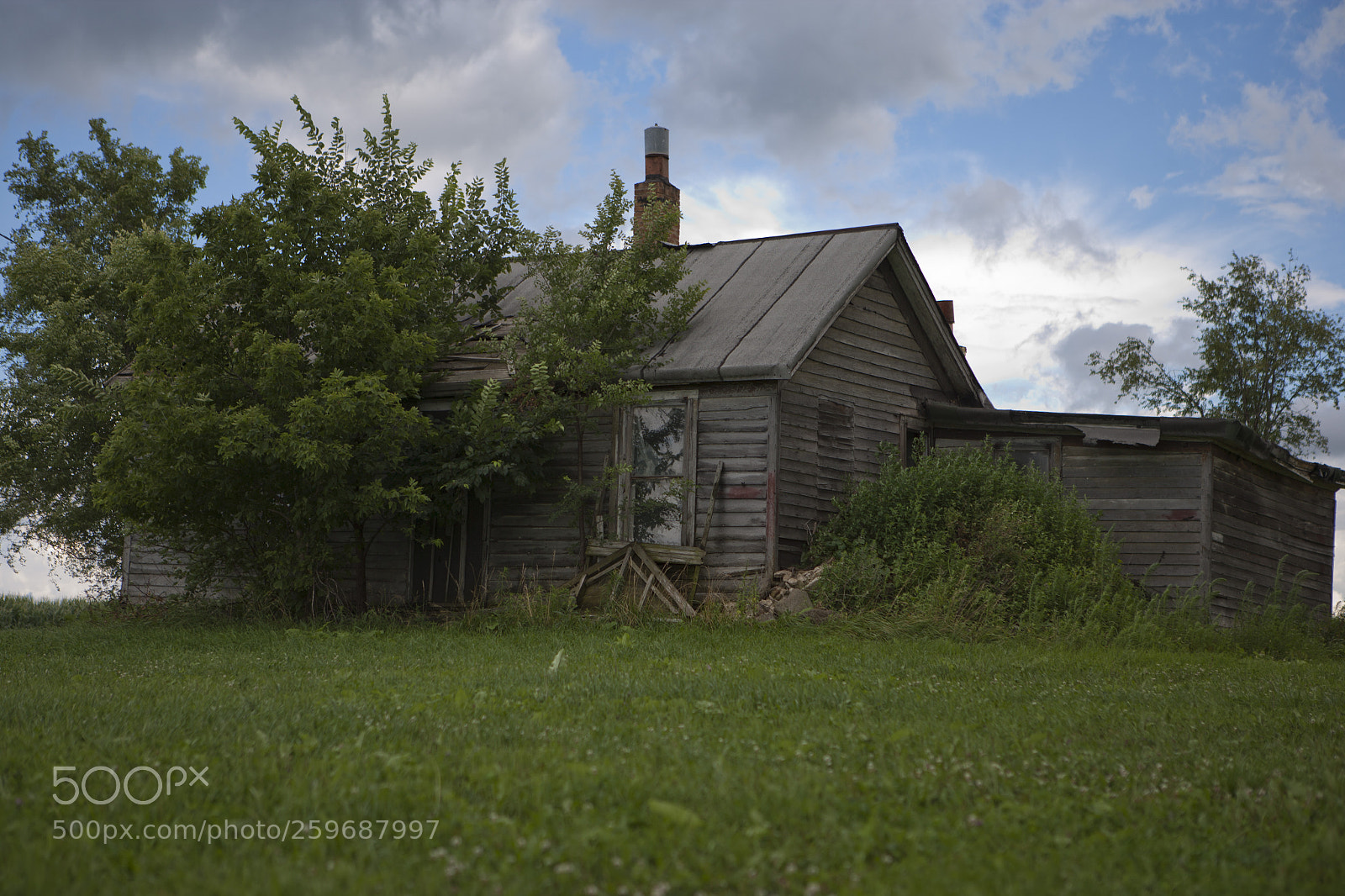 Canon EOS-1Ds Mark II sample photo. La photography
