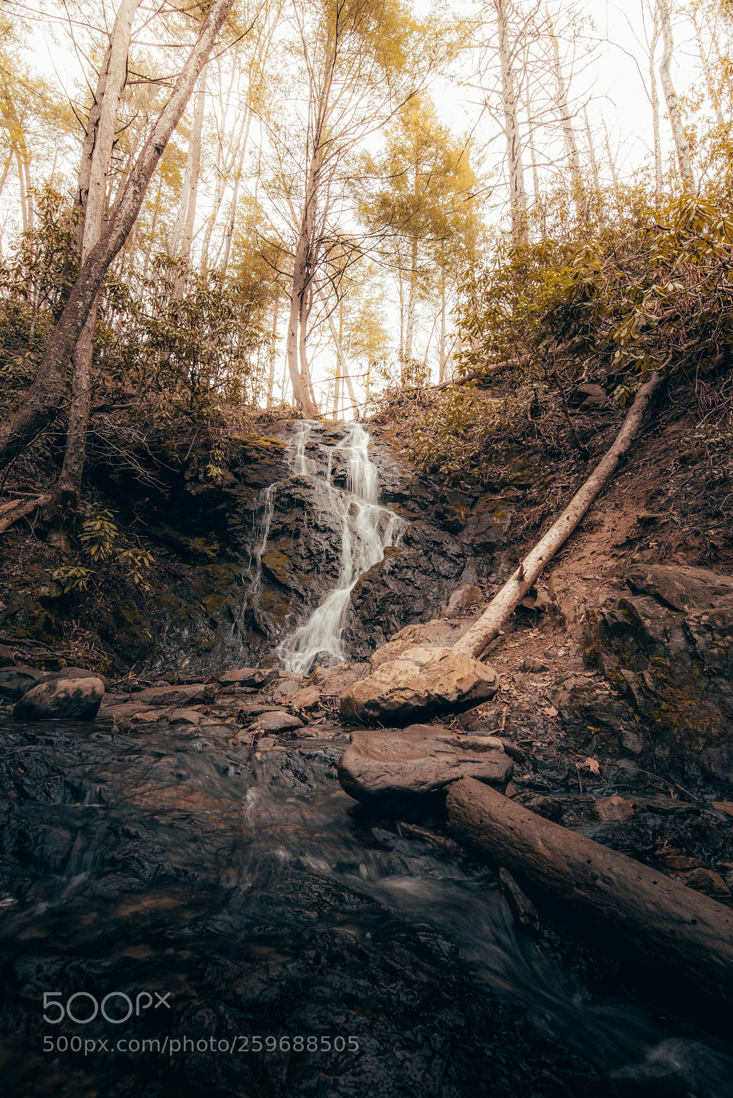 Nikon D750 sample photo. Waking up after winter photography