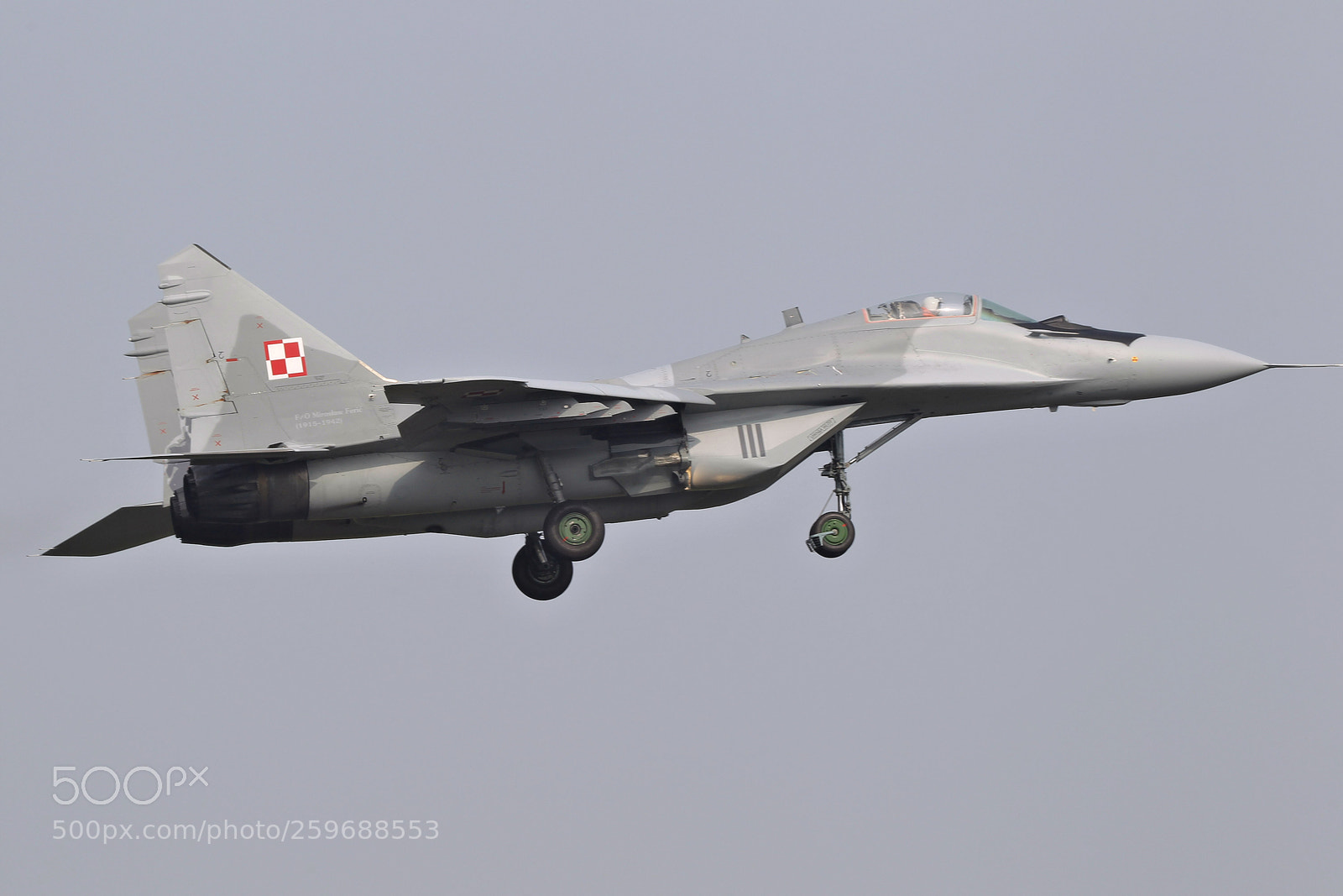 Canon EOS-1D Mark IV sample photo. Frisian flag fulcrum on photography