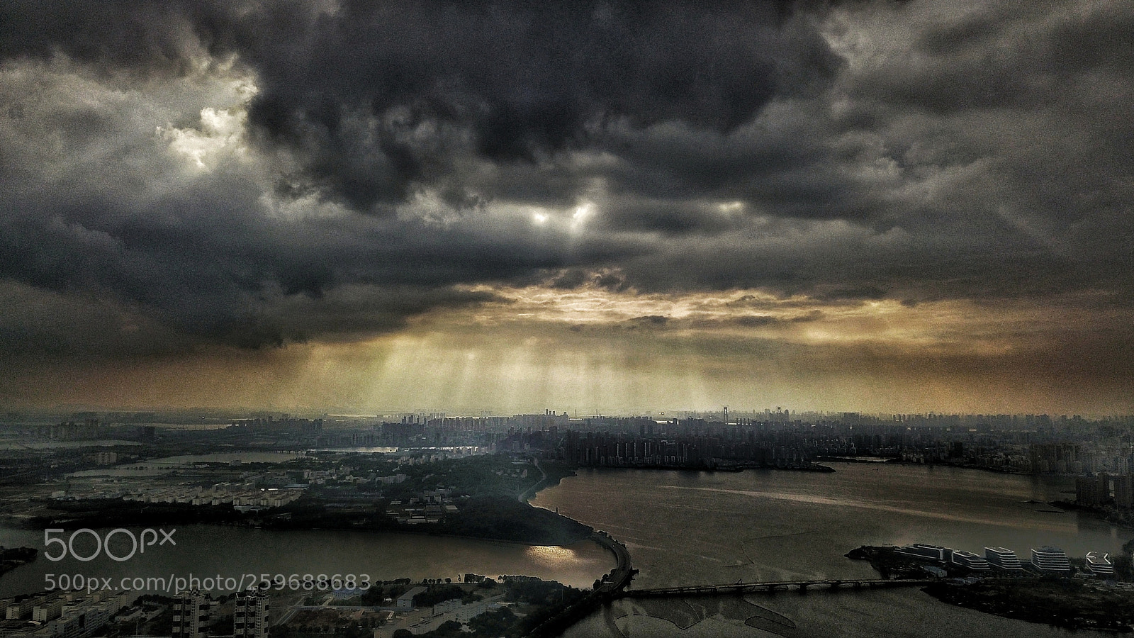 DJI FC220 sample photo. Rage against the dying photography