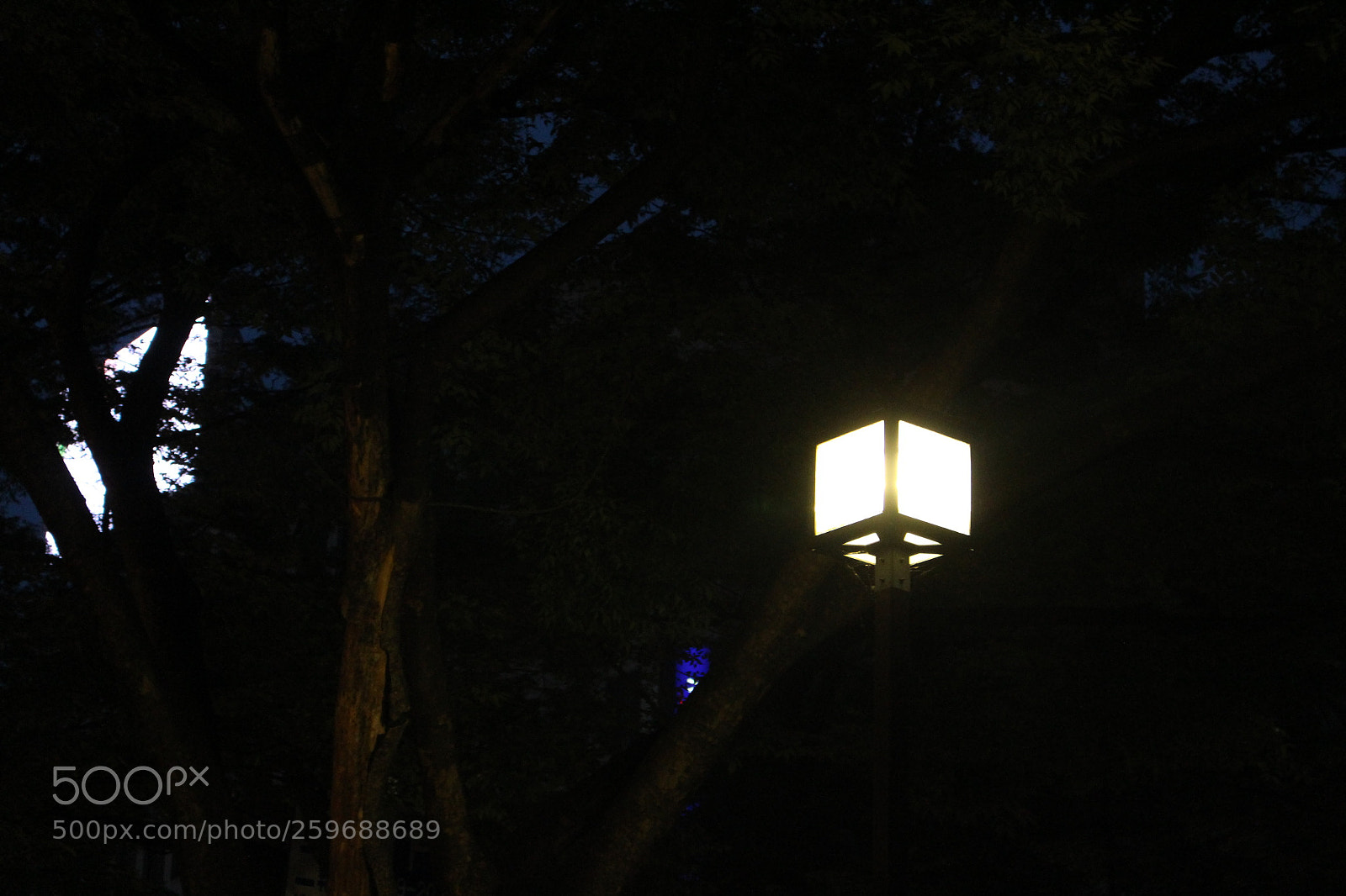 Canon EOS 100D (EOS Rebel SL1 / EOS Kiss X7) sample photo. Street light photography