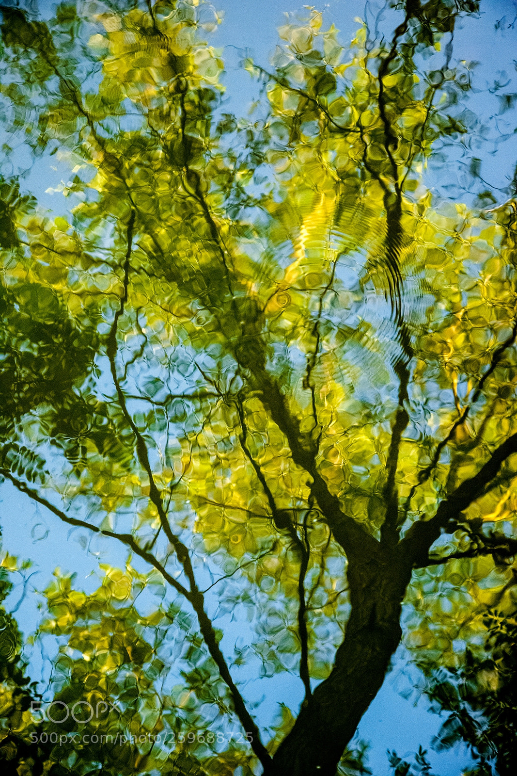 Canon EOS 5D Mark II sample photo. Watercolour vízfesték photography