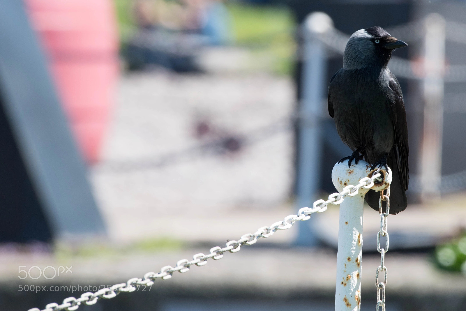 Nikon D750 sample photo. Porlock may photography