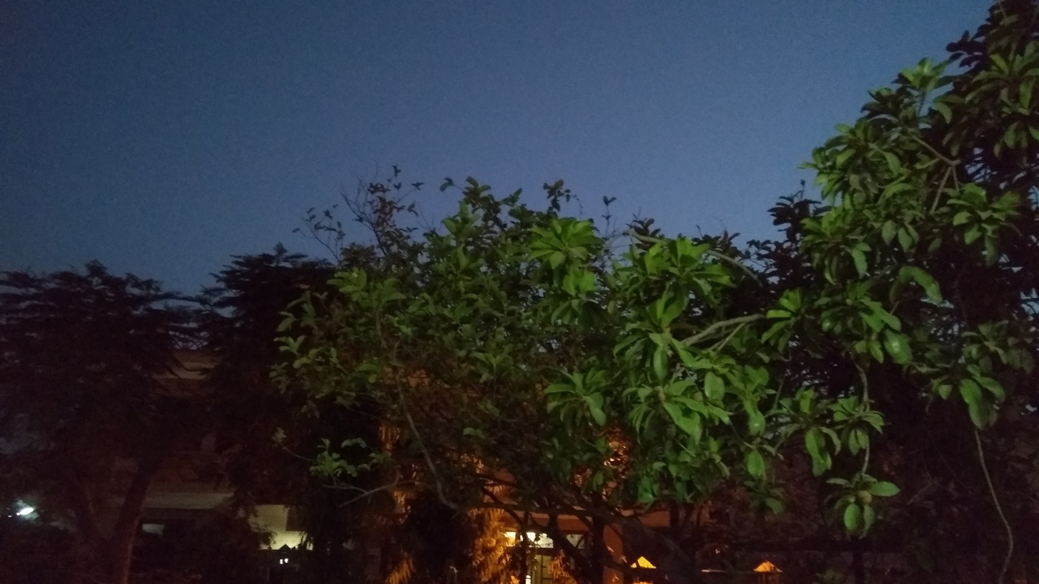 Motorola Moto G (5S) Plus sample photo. Beauty at night photography