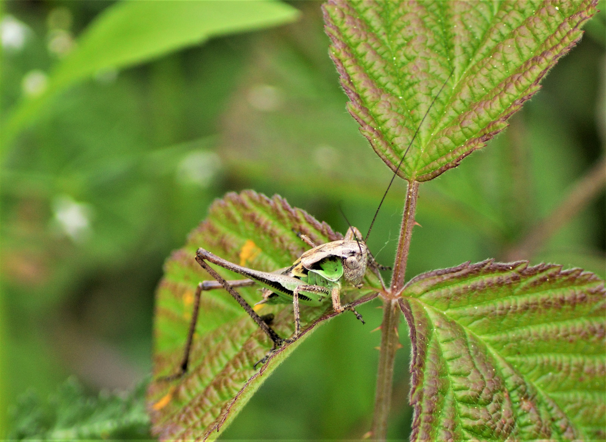Nikon D3200 sample photo