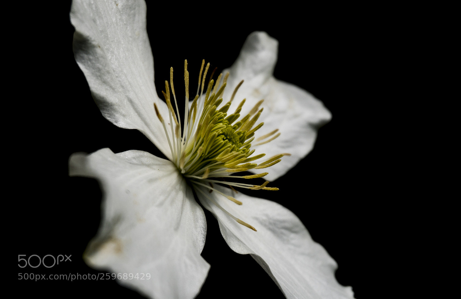 Sony a6500 sample photo. Dsc photography