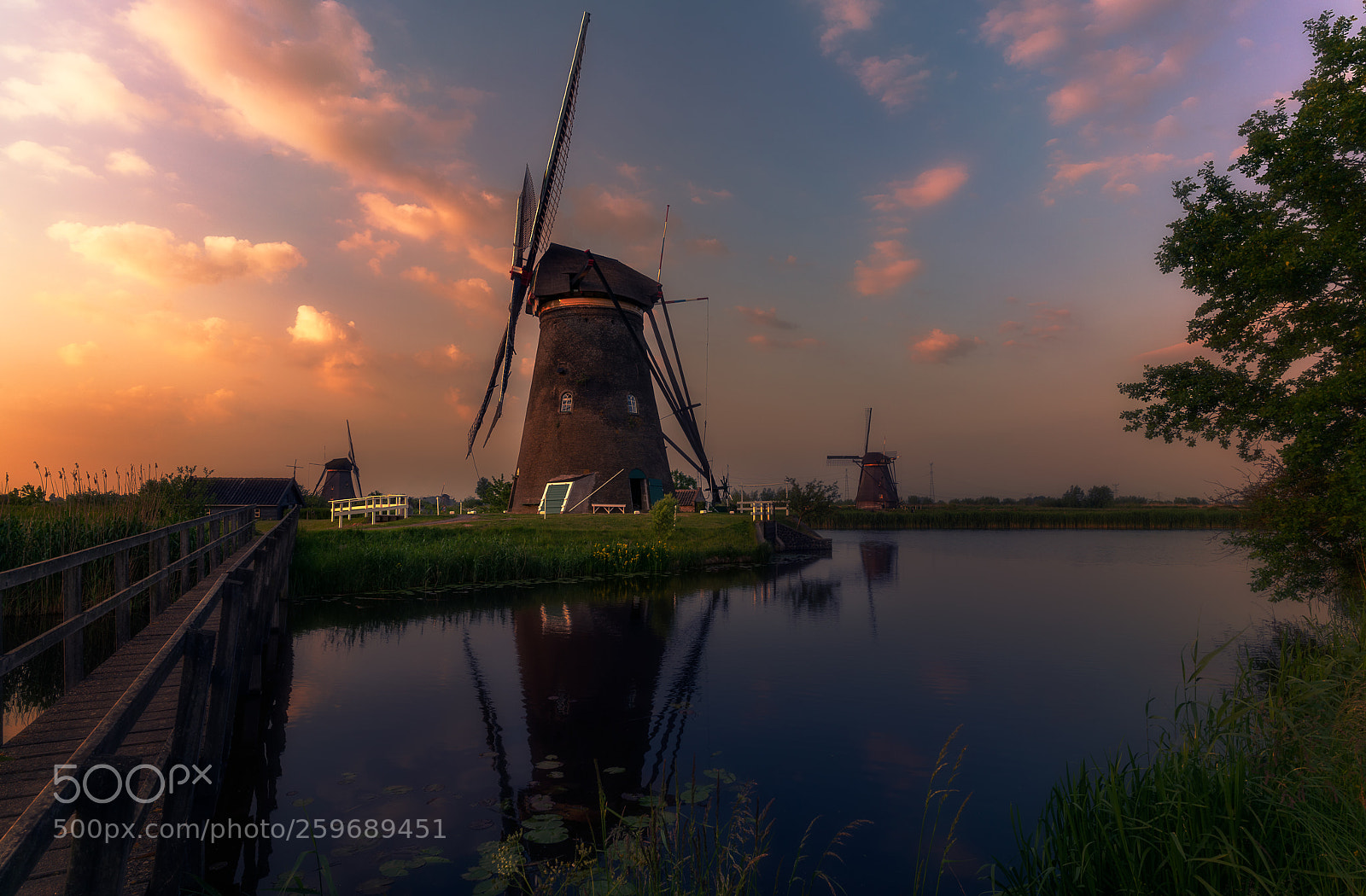 Sony a7R II sample photo. The netherlands ... photography