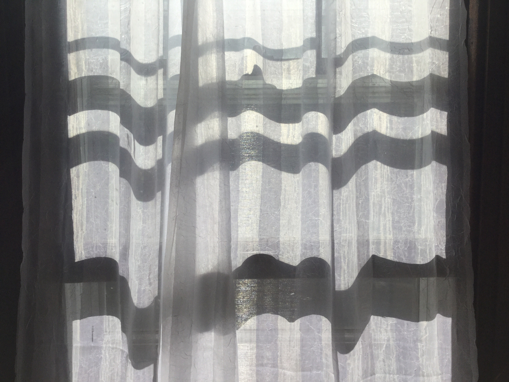 Apple iPad mini 4 sample photo. Sun stripes.  photography
