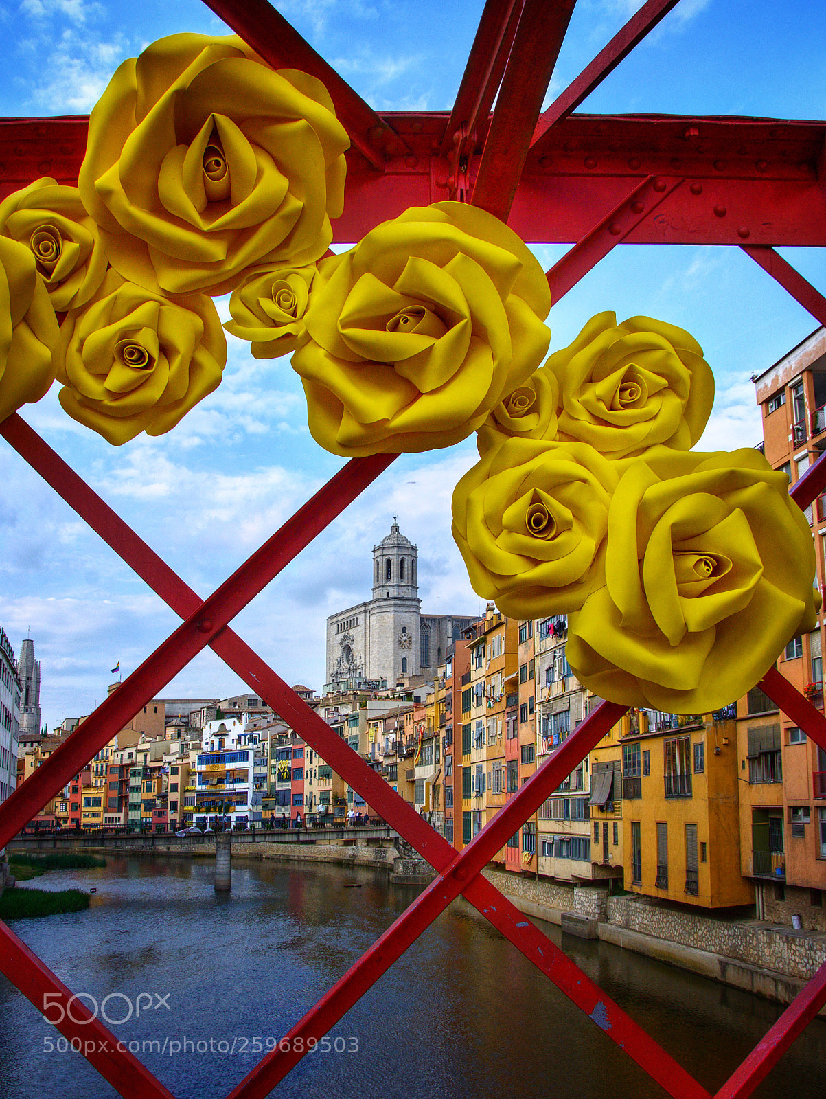 Nikon D7200 sample photo. Girona. flower times. photography