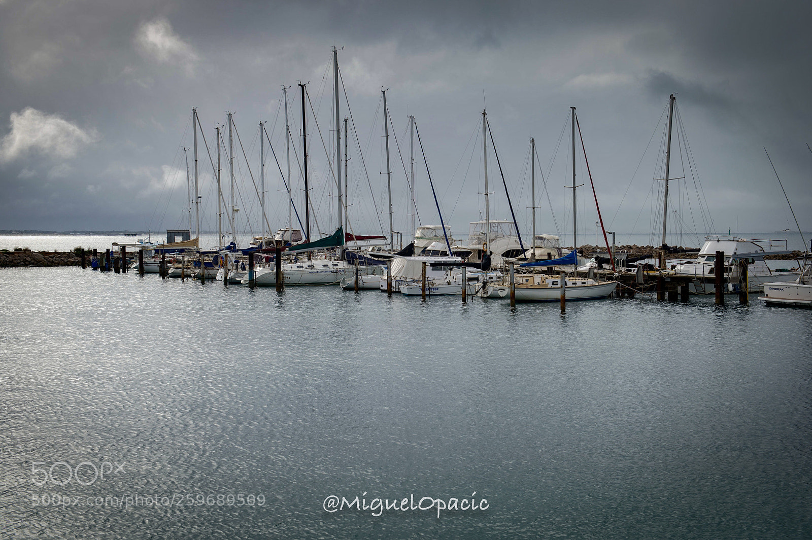 Nikon D3S sample photo. Overcast photography