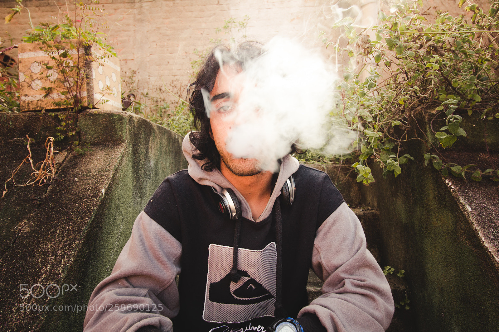 Canon EOS 1300D (EOS Rebel T6 / EOS Kiss X80) sample photo. Weed photography