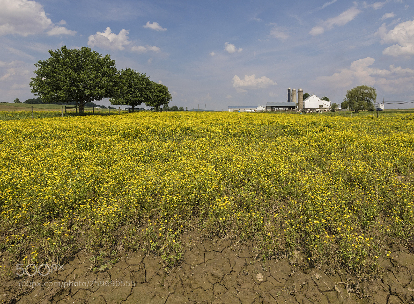 Canon EOS 5D Mark IV sample photo. Lancaster county photography