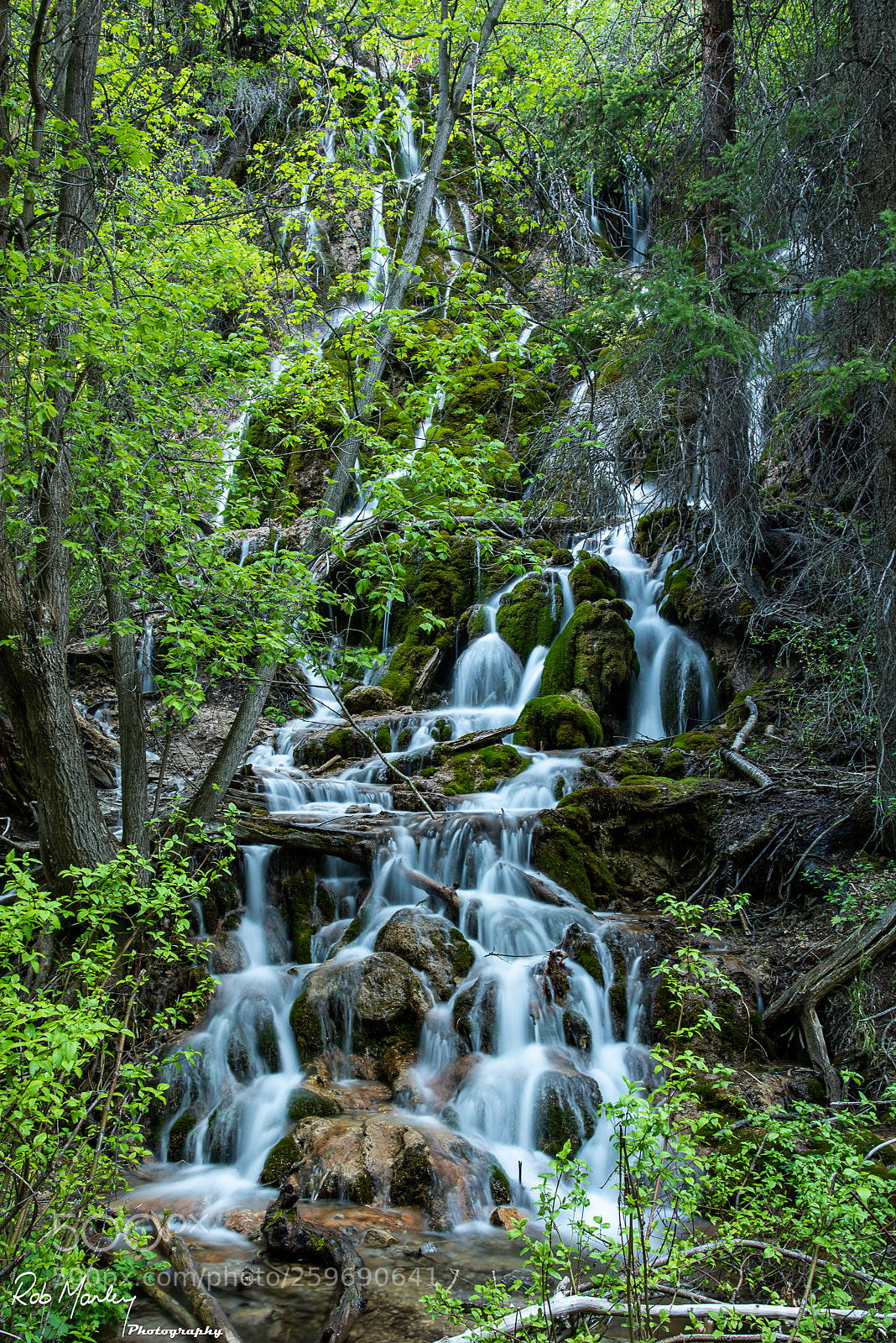 Nikon D810 sample photo. Tumbledown photography