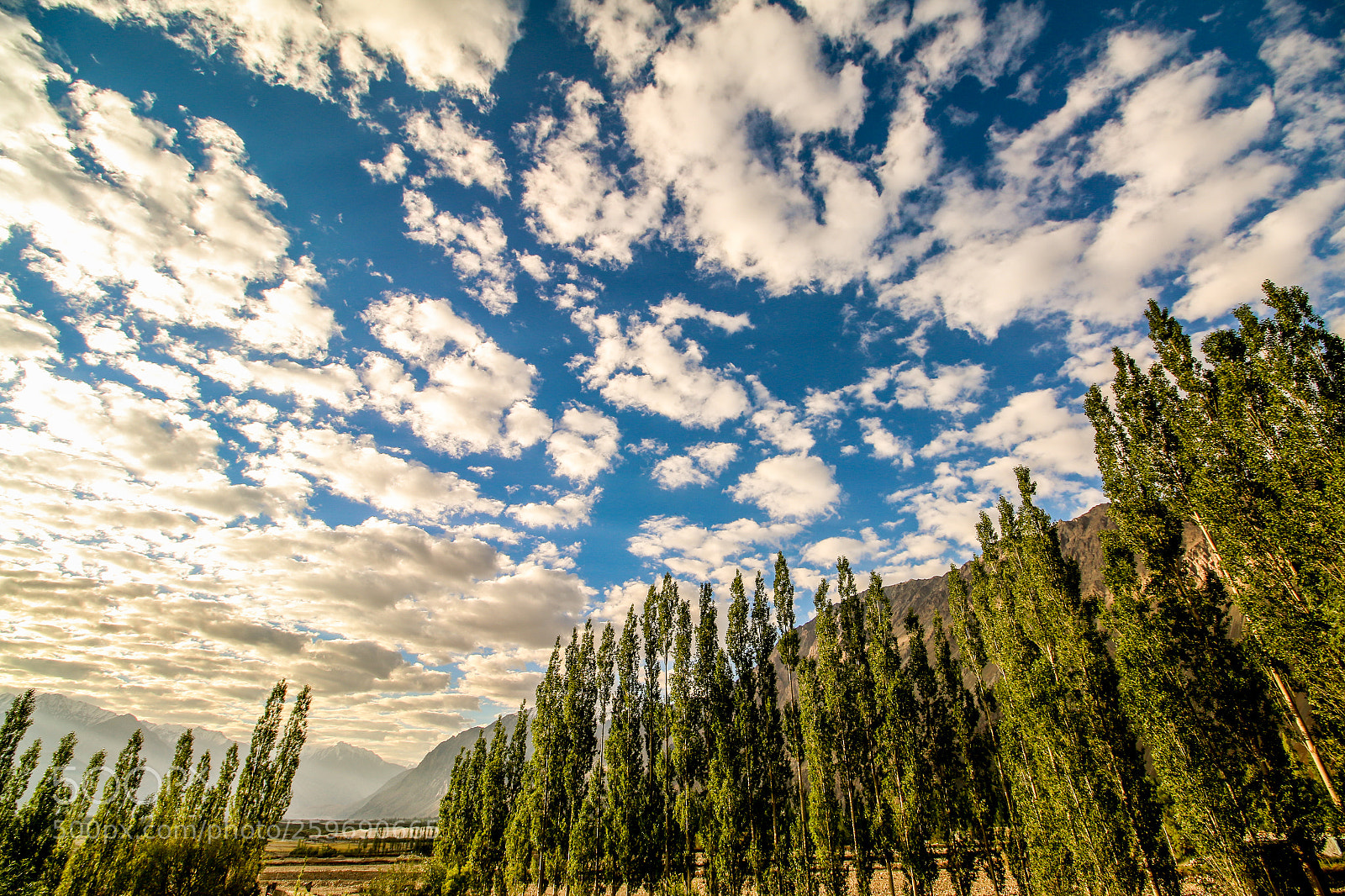 Canon EOS 70D sample photo. Vastness photography