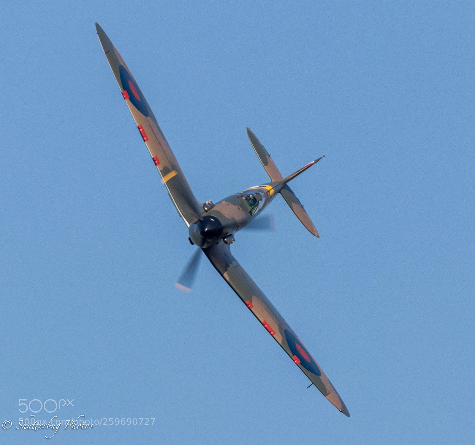 Canon EOS 80D sample photo. Spitfire photography